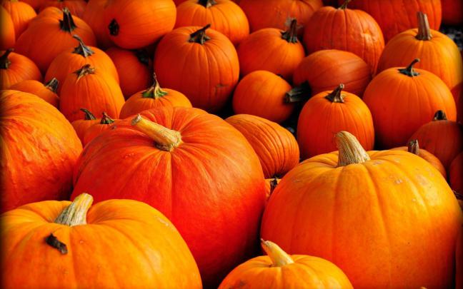 HD Pumpkin Wallpapers