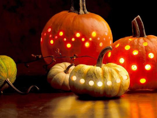 Fall Pumpkin Wallpapers