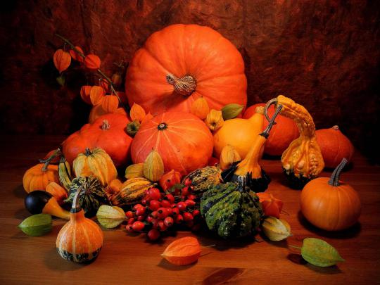 Pumpkin Wallpapers Free