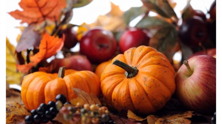 Autumn Pumpkin Wallpaper (47+ images)