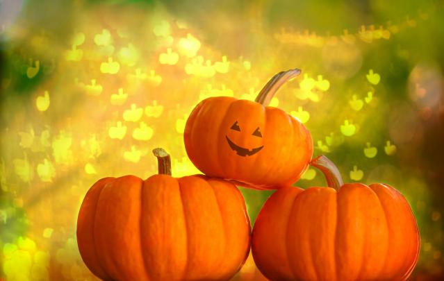 Free Pumpkin Wallpaper Backgrounds