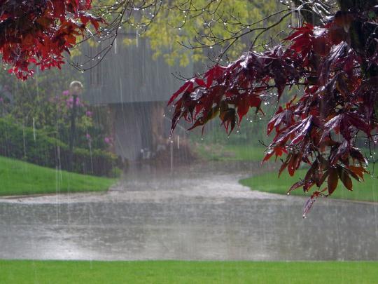 Rain HD Wallpapers