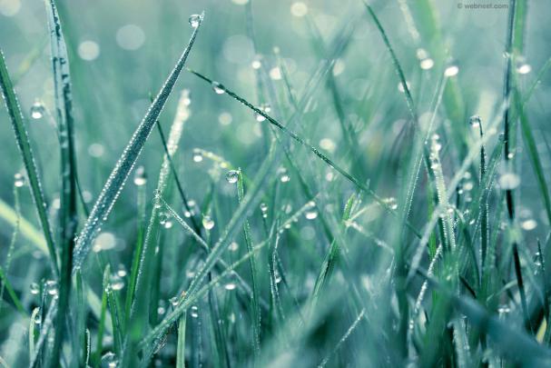 50 Beautiful Rain Wallpapers for your desktop mobile and tablet - HD