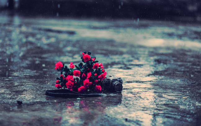 Beautiful Rain Wallpaper (62+ images)
