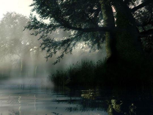 Nature Rain Wallpapers