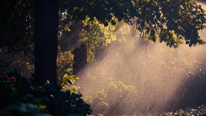 21+ Rain Wallpapers, Backgrounds, Images, Pictures | Design Trends 