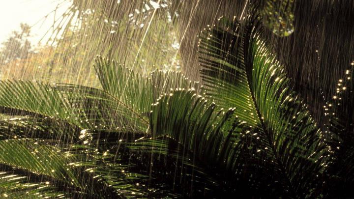 Rain Wallpapers HD