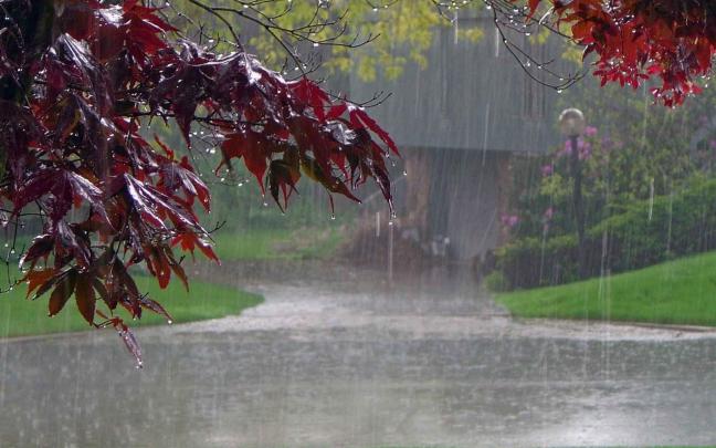 Nature Rain Wallpaper \u00b7\u2460 