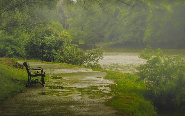 Nature Rain Wallpapers