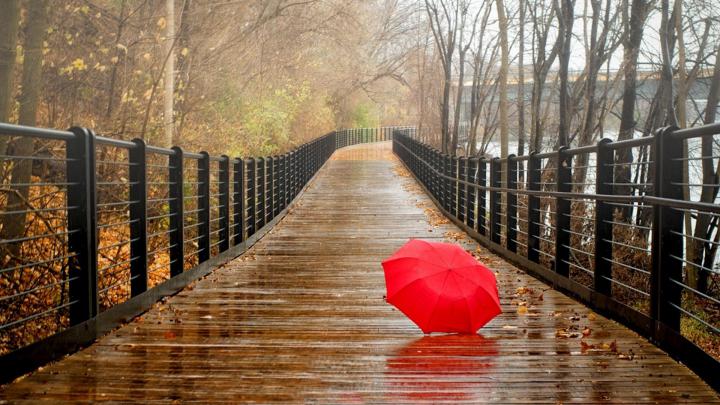 Rainy Day Wallpapers \u00b7\u2460 