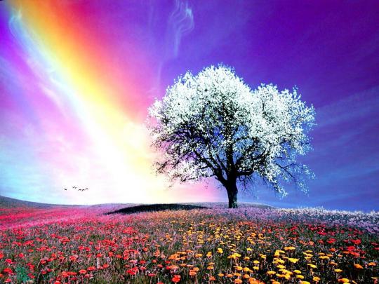 Natural Rainbow HD Wallpapers