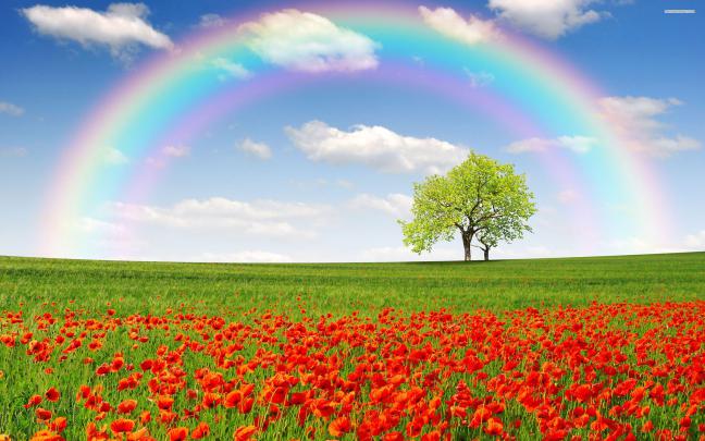 Natural Rainbow HD Wallpapers