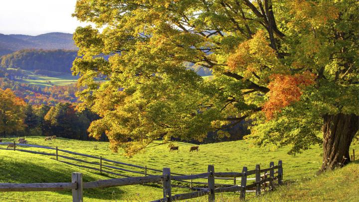 Free Scenic Wallpapers For Desktop