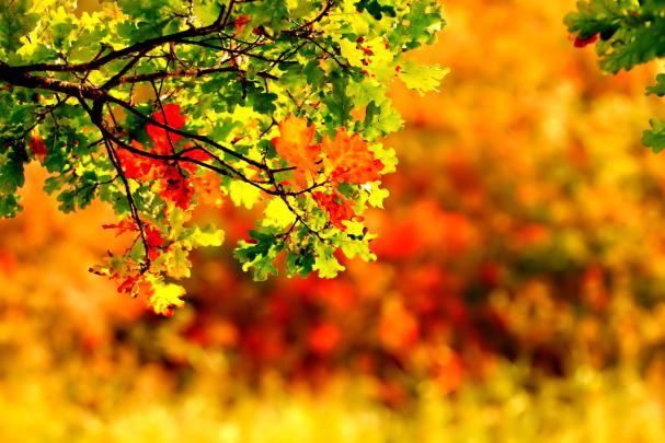 September Wallpapers High Quality | Download Free