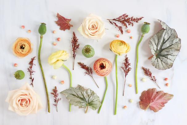 September Wallpapers - Top Free September Backgrounds - WallpaperAccess
