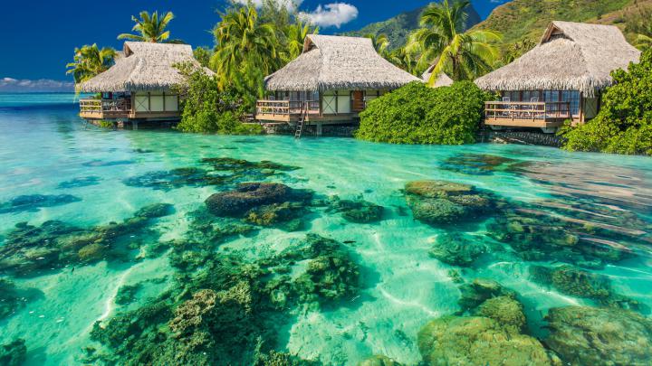[74+] Tropical Desktop Wallpaper Free 