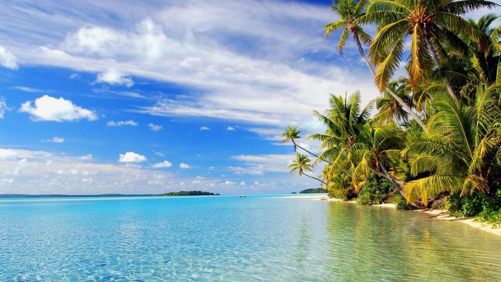 Tropical Beach Wallpaper (68+ pictures)