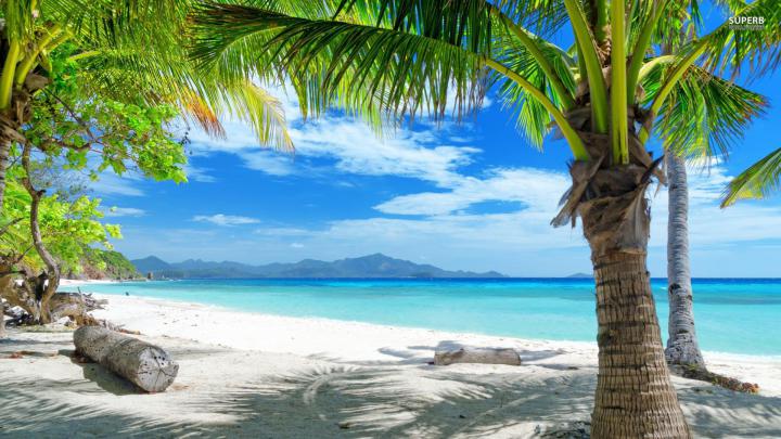 playa, Tropical, Palmeras Wallpapers HD \/ Desktop and Mobile Backgrounds
