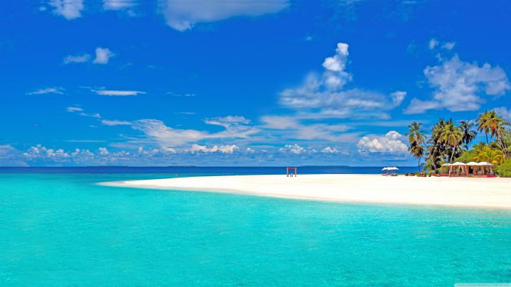 Tropical Desktop Backgrounds \u00b7\u2460 
