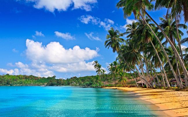 Tropical Beach HD Wallpaper (68+ images)
