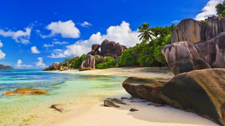 Tropical Desktop Background (56+ images)