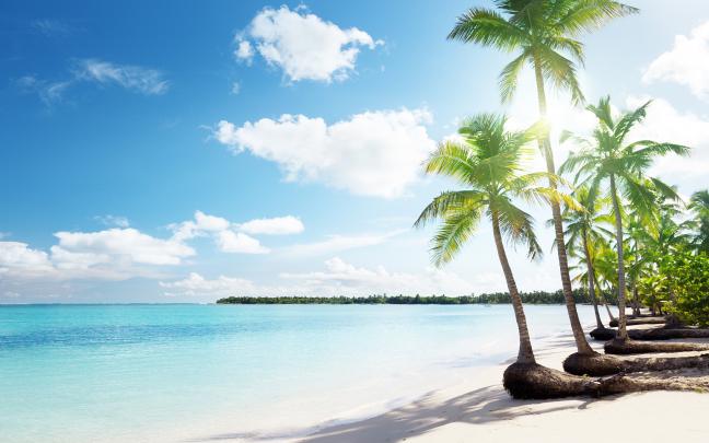 tropical beach sand - HD Desktop Wallpapers