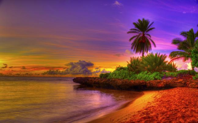 Tropical Beach Desktop Wallpaper \u00b7\u2460 