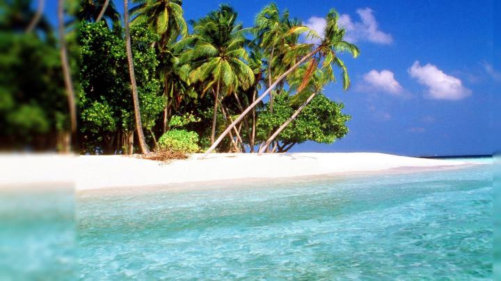 Desktop Backgrounds Tropical