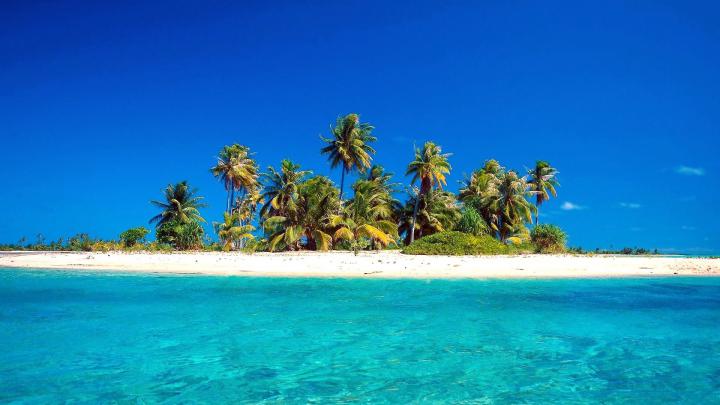 Tropical Wallpaper Desktop \u00b7\u2460 