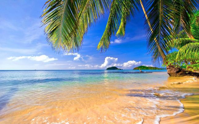 Tropical Wallpaper Desktop \u00b7\u2460 