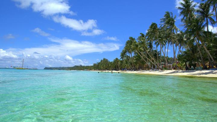 Free Tropical Desktop Wallpaper -