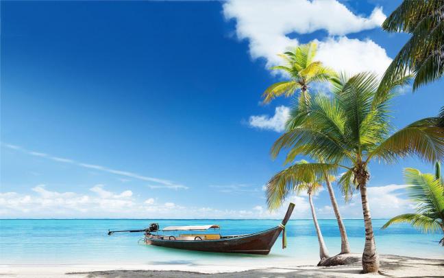 Wallpapers Tropical Beach