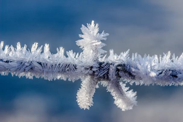 Frozen Ice Wallpaper 4K 5K Background | HD Wallpaper Background