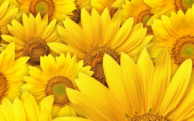 Yellow Aesthetic Computer Wallpapers - Top Free Yellow Aesthetic 