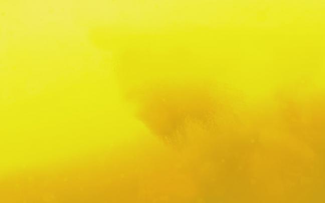 Yellow Desktop Backgrounds