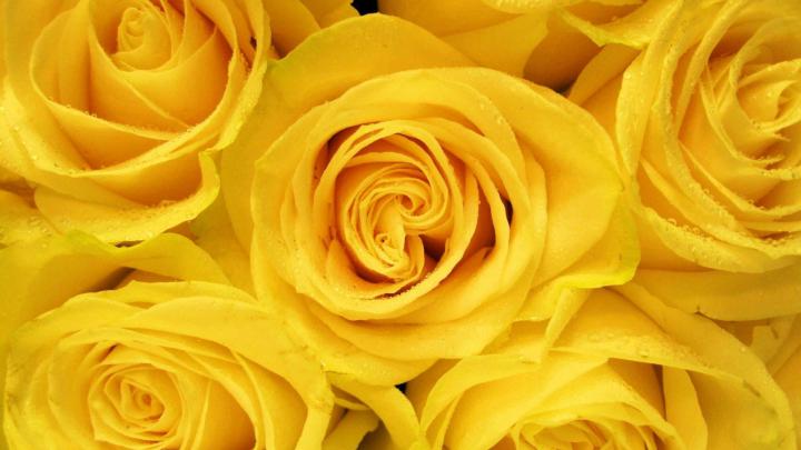 30 Yellow Aesthetic Wallpapers - Wallpaperboat