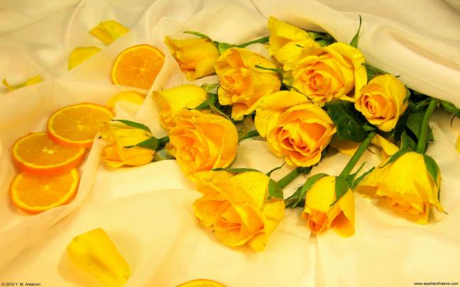 Pastel yellow laptop wallpaper \u2022 Wallpaper For You HD Wallpaper For 