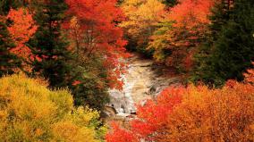 Fall Desktop Wallpaper Hd