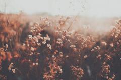 Minimalist Aesthetic Vintage Desktop Wallpaper