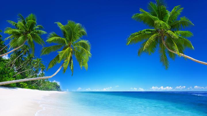 Wallpaper tropical beach, 5k, 4k wallpaper, 8k, paradise, palms, sea 