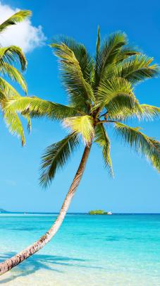 32++ Iphone Wallpaper 4k Beach - Bizt Wallpaper