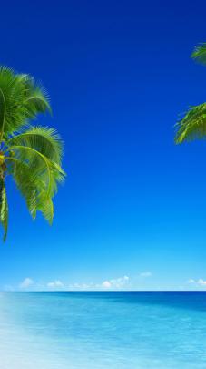 Wallpaper tropical beach, 5k, 4k wallpaper, 8k, paradise, palms, sea 