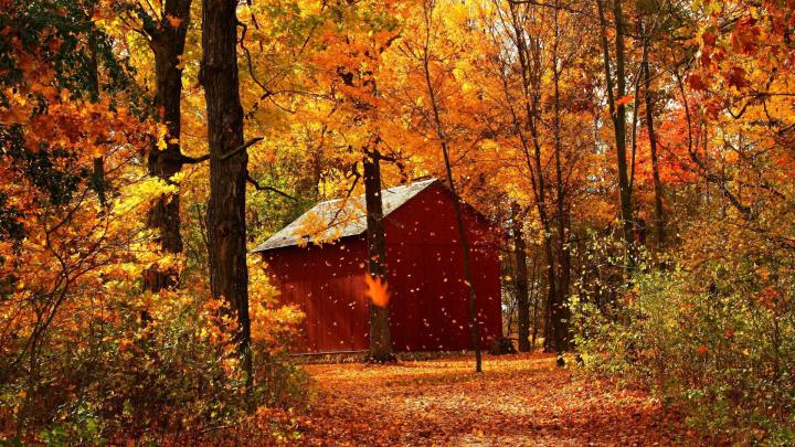 Free download Wallpaper 3840x2160 Leaf fall Autumn Garage Wood Trees 