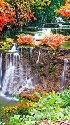 4K Fall Wallpaper -