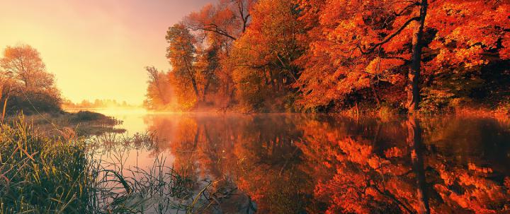 2560x1080 Trees Fall Reflection Autumn 4k 2560x1080 Resolution HD 4k 