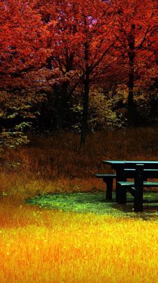 Free download Picnik 4K Fall Wallpaper 4K Wallpaper [3840x2160] for 
