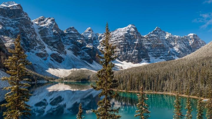 8K Desktop Wallpapers on WallpaperDog