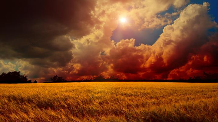 8K Ultra High Res Wallpapers - Top Free 8K Ultra High Res Backgrounds 