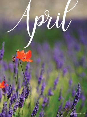 April 2019 Free Desktop Calendar\/Wallpaper from Marmalead