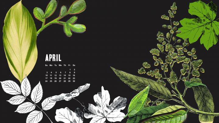 Giants \u0026 Pilgrims | April Free Calendar Desktop and iPhone Wallpaper